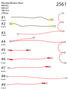 Skutt KM Harness Wire Set – KM1227, KM1027, KM1222, KM1022, KM1022-3, KM822, KM822-3