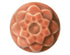 AMACO – Cone 5/6 – C33 Sandalwood