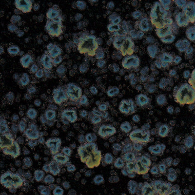 Mayco – Cone 06 - CG-786 Obsidian