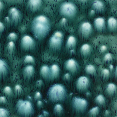 Mayco – Cone 06 - CG974 Bloomin' Blue