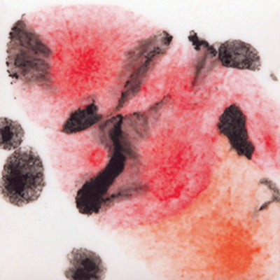 Mayco – Cone 06 - S-2727 Poppy Fields