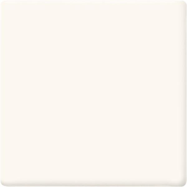AMACO – Cone 05/06 -  TP11 Cotton