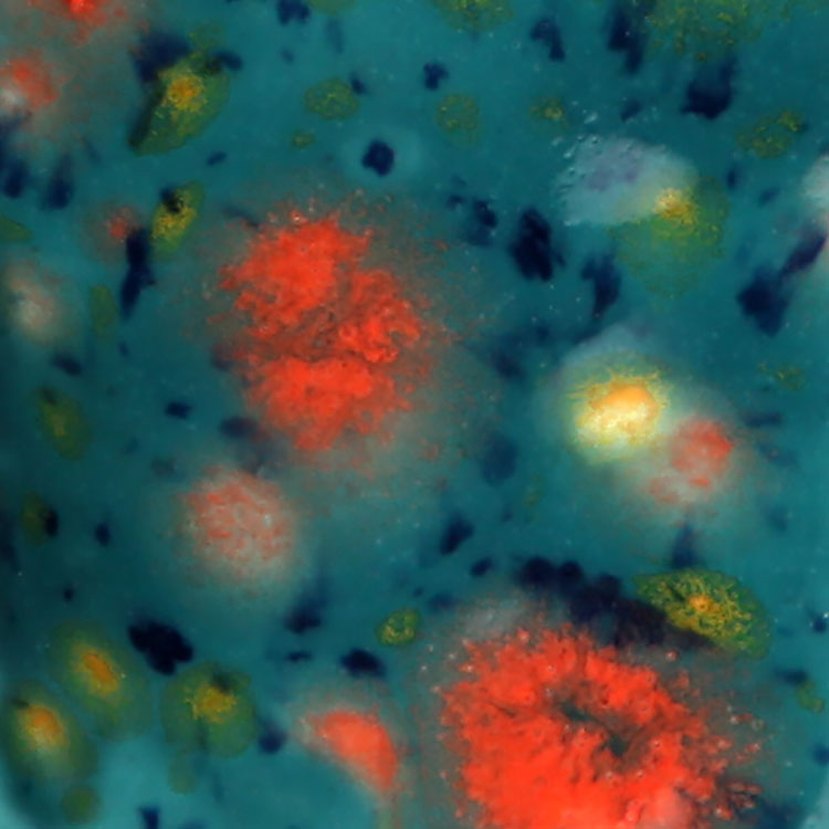 Mayco – Cone 06 - CG983 Koi Pond