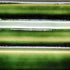 Spectrum – Cone 5/6 - 1111 - Holly Green - Pint