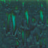 Mayco – Cone 06 - CG-713 Peacock Green