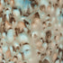 Mayco – Cone 06 - CG965 Mocha Marble