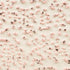AMACO – Cone 5/6 -  CR51 Speckled Pink