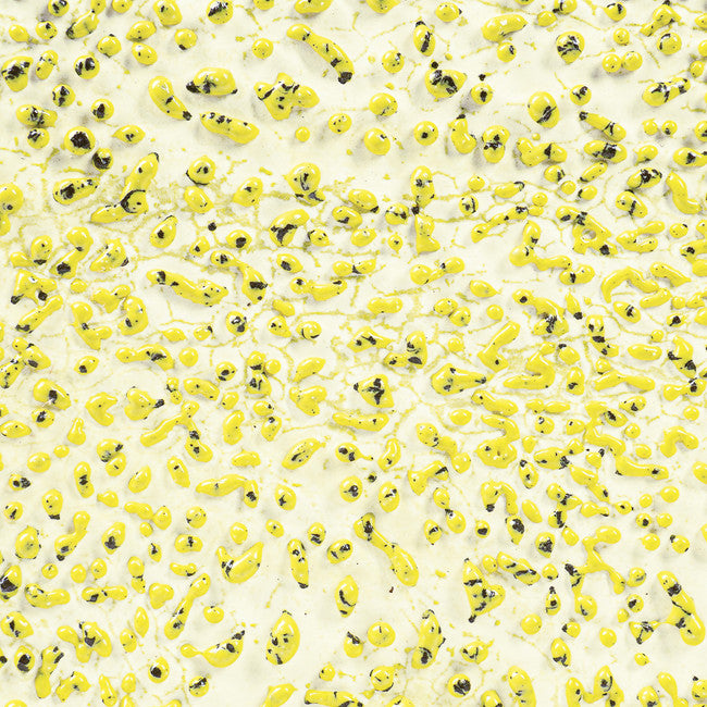 AMACO – Cone 5/6 -  CR61 Speckled Yellow