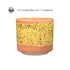 AMACO – Cone 5/6 -  CR61 Speckled Yellow