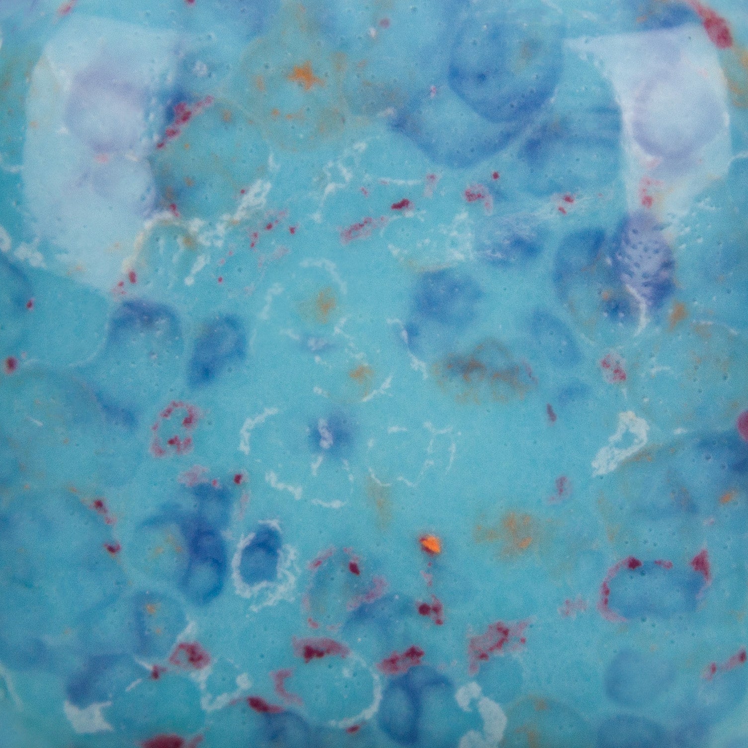 Mayco – Cone 06 - SP-2105 Speckled Tic-Tac-Turquoise