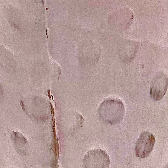 Zig Sig - Colored Terra Sigillata - Think Pink