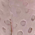 Zig Sig - Colored Terra Sigillata - Think Pink