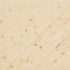Mayco – Cone 06 - FN-239 Spiced Cream
