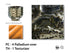AMACO – Cone 5/6 - TH-1 High Fire Texturizer – Pint