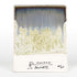 Mayco - Cone 5/6 - SW-225 Lily Pad