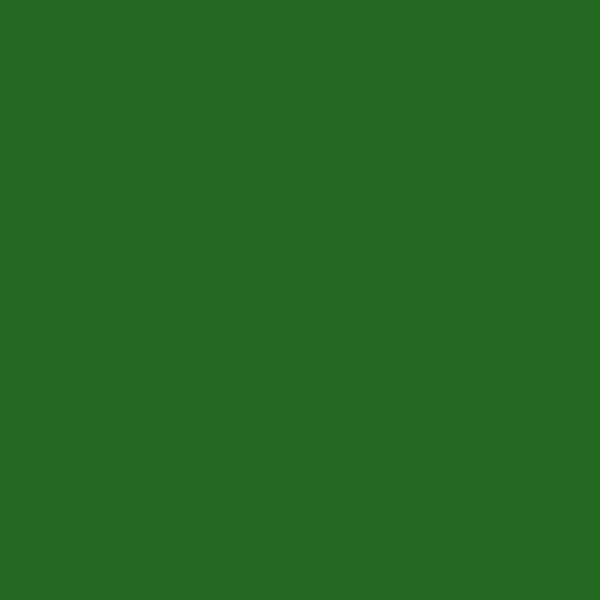 6200 – Evergreen