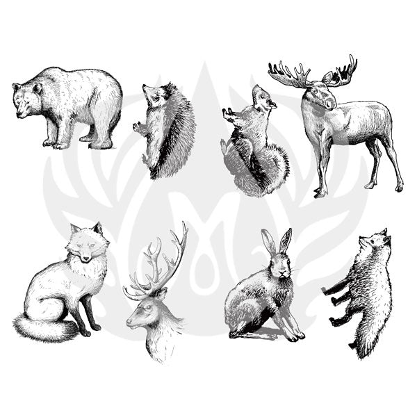 DSS-101 Silk Screen Woodland Animals