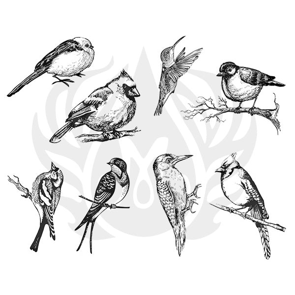 DSS-108 Silk Screen Aviary – Small Birds