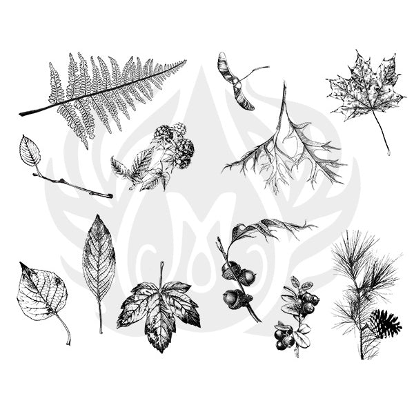 DSS-111 Silk Screen Botanical – Leaves