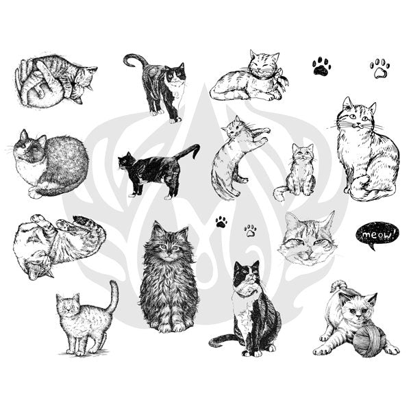 DSS-120 Silk Screen Cats