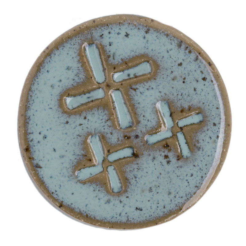 Glaze Shown on KyMudworks Speckled Turtle