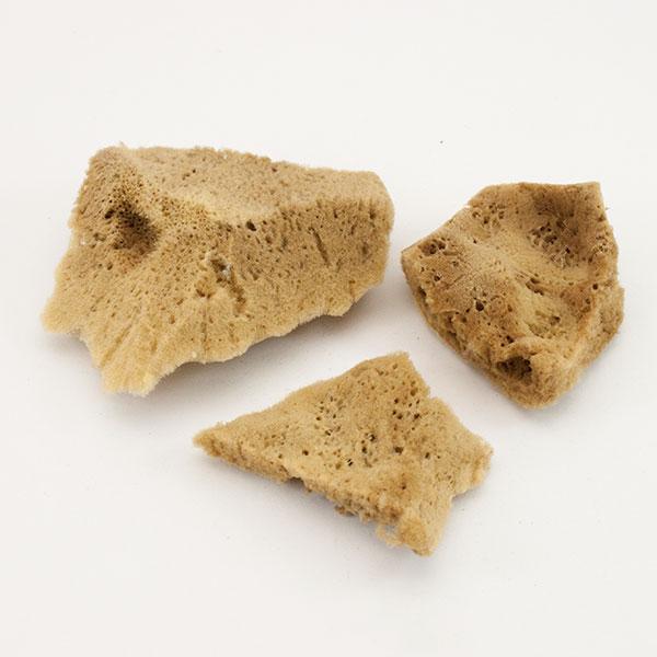 Elephant Ear Sponges, New!