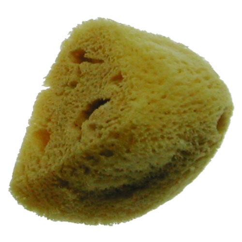 Silk Sponge